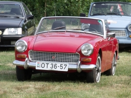 falunap2013_101_20180901
